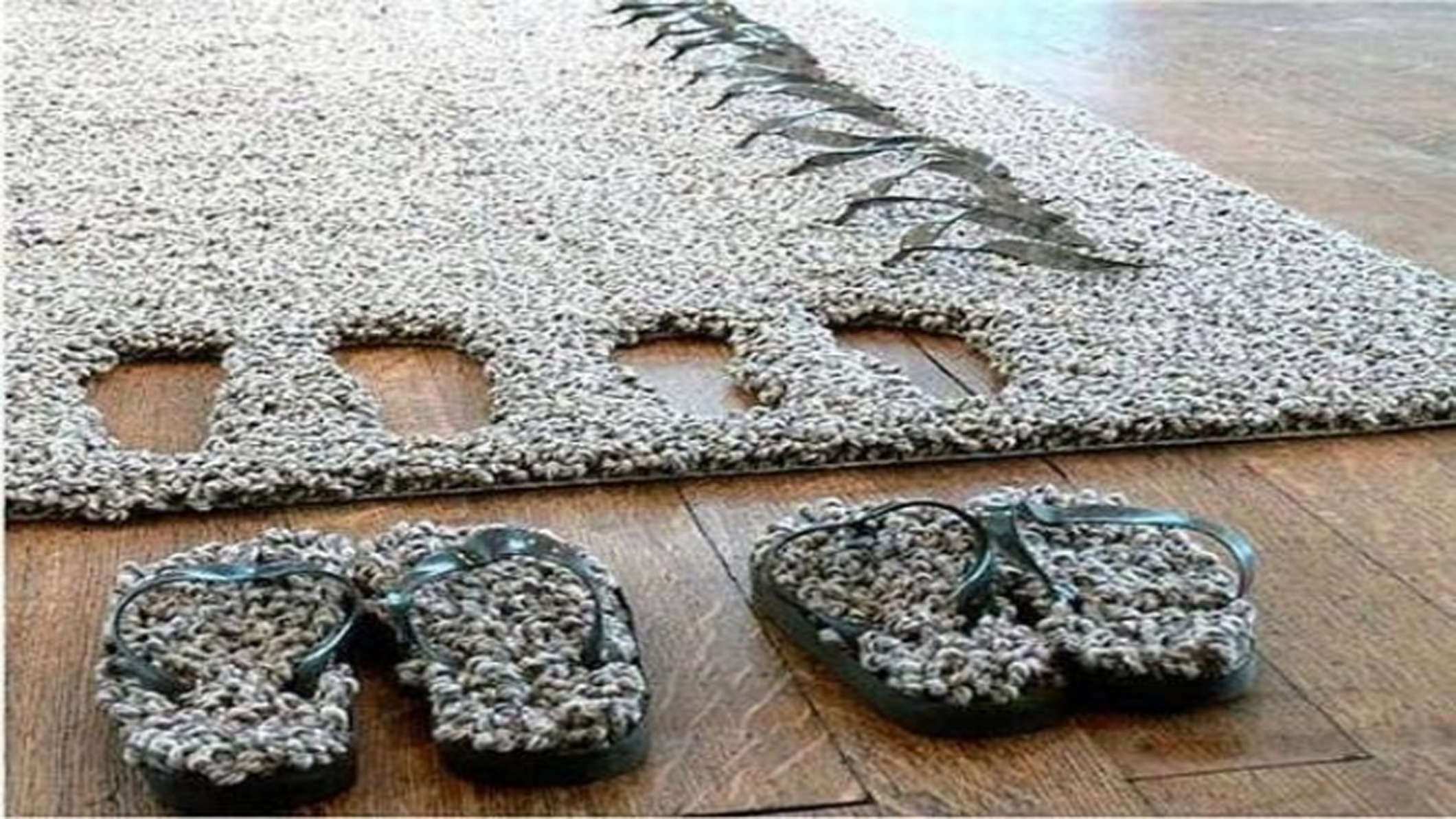 carpet cleaners Santa Ana