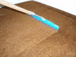 Santa Ana carpet cleaners