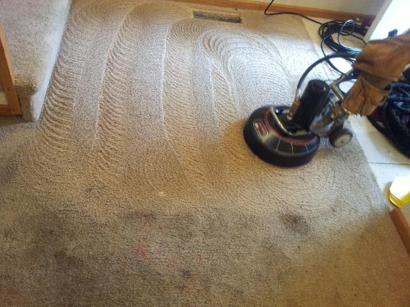 Santa Ana carpet cleaning
